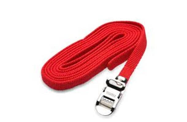 Security Strap