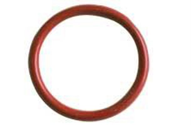 Truma O ring size:53x5mm (Single)